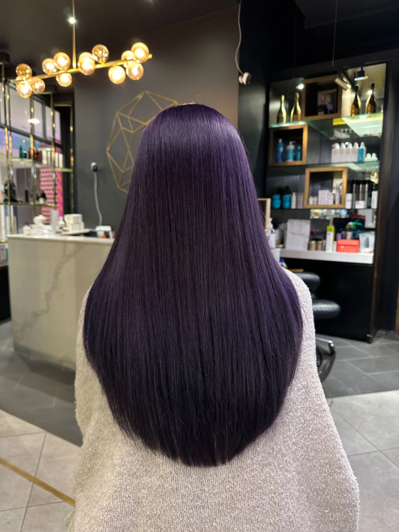 Long, glossy deep-violet hair seen from behind